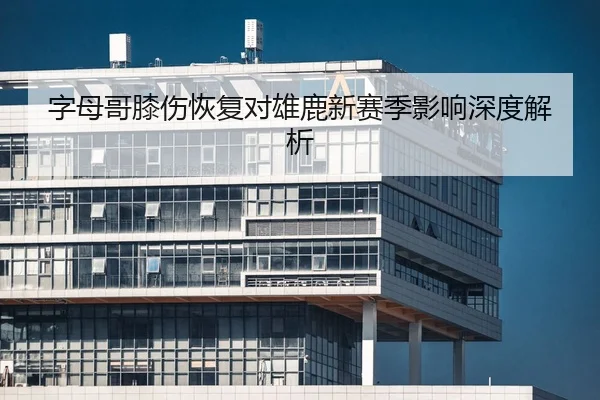 字母哥膝伤恢复对雄鹿新赛季影响深度解析